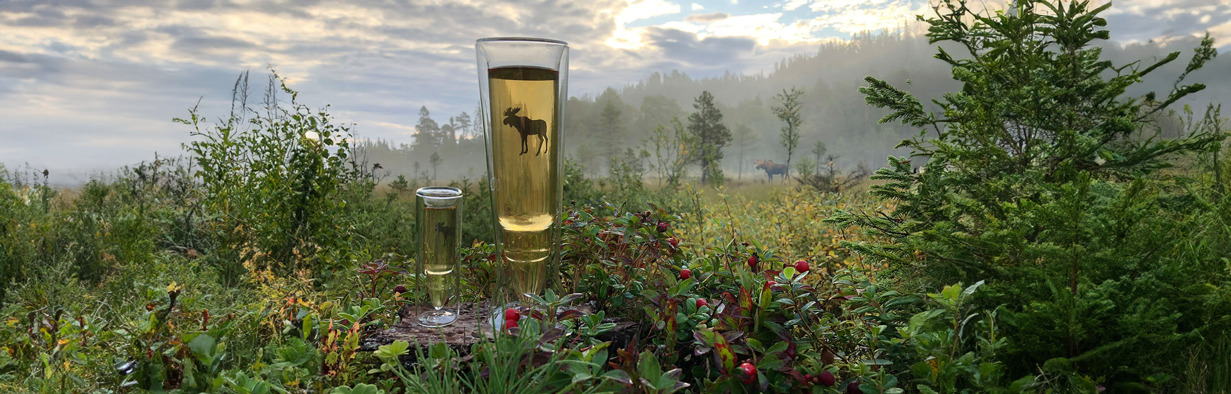 Silver moose glass